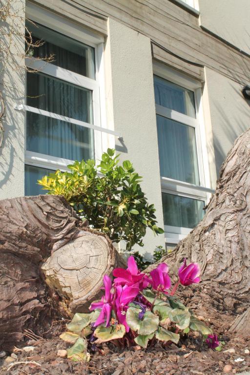 Loop Inn Hotel Santiago De Compostela Exterior photo